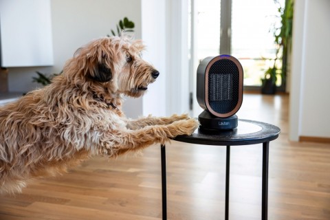 Lauben Desk Fan Heater 2in1 600BB hősögárzó/ventilátor Lauben Desk Fan Heater 2in1 600BB hősögárzó/ventilátor